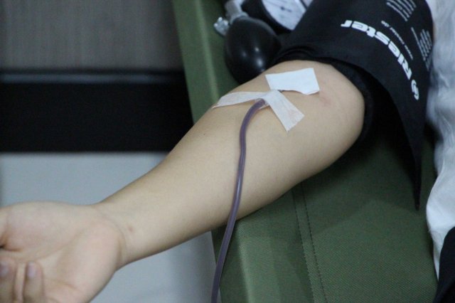 Donor Darah Wilmar